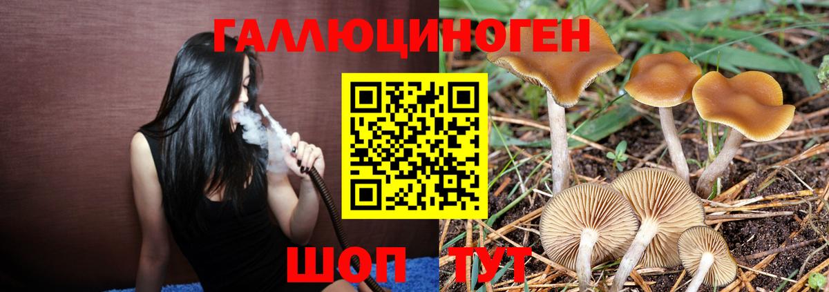 Псилоцибиновые грибы Psilocybe  как найти закладки  Орск  Вход с VPN 